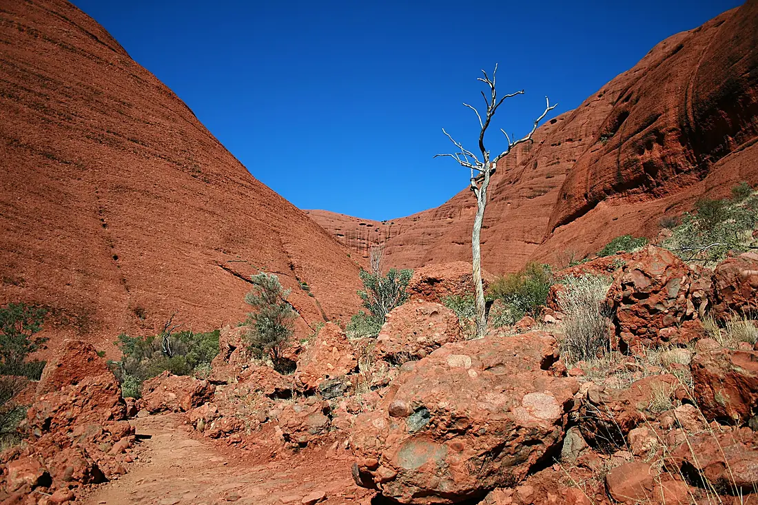 KataTjuta ValleyOfTheWinds
