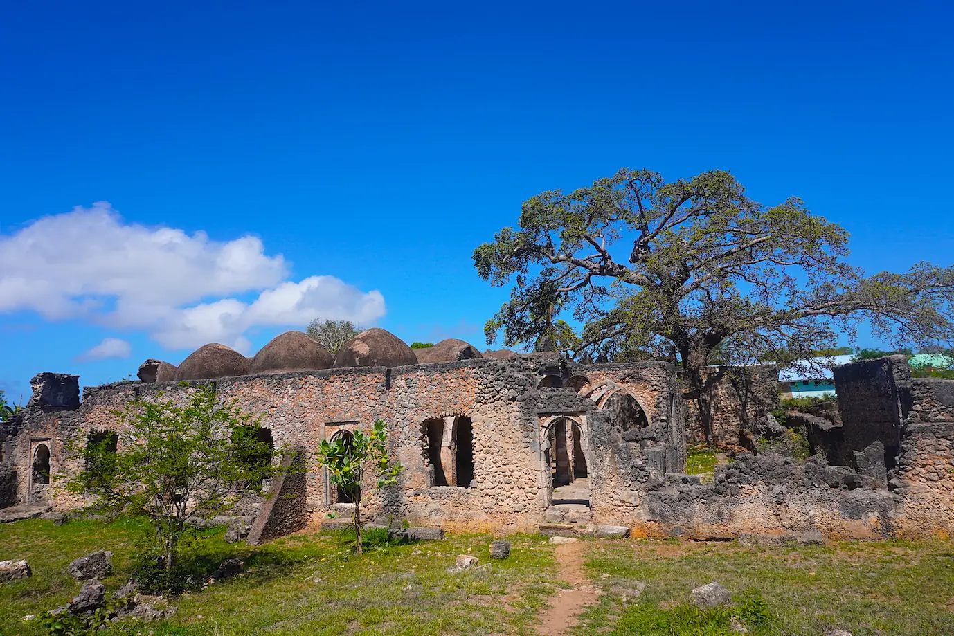 Kilwa-Kisiwani-ruins-tanzania