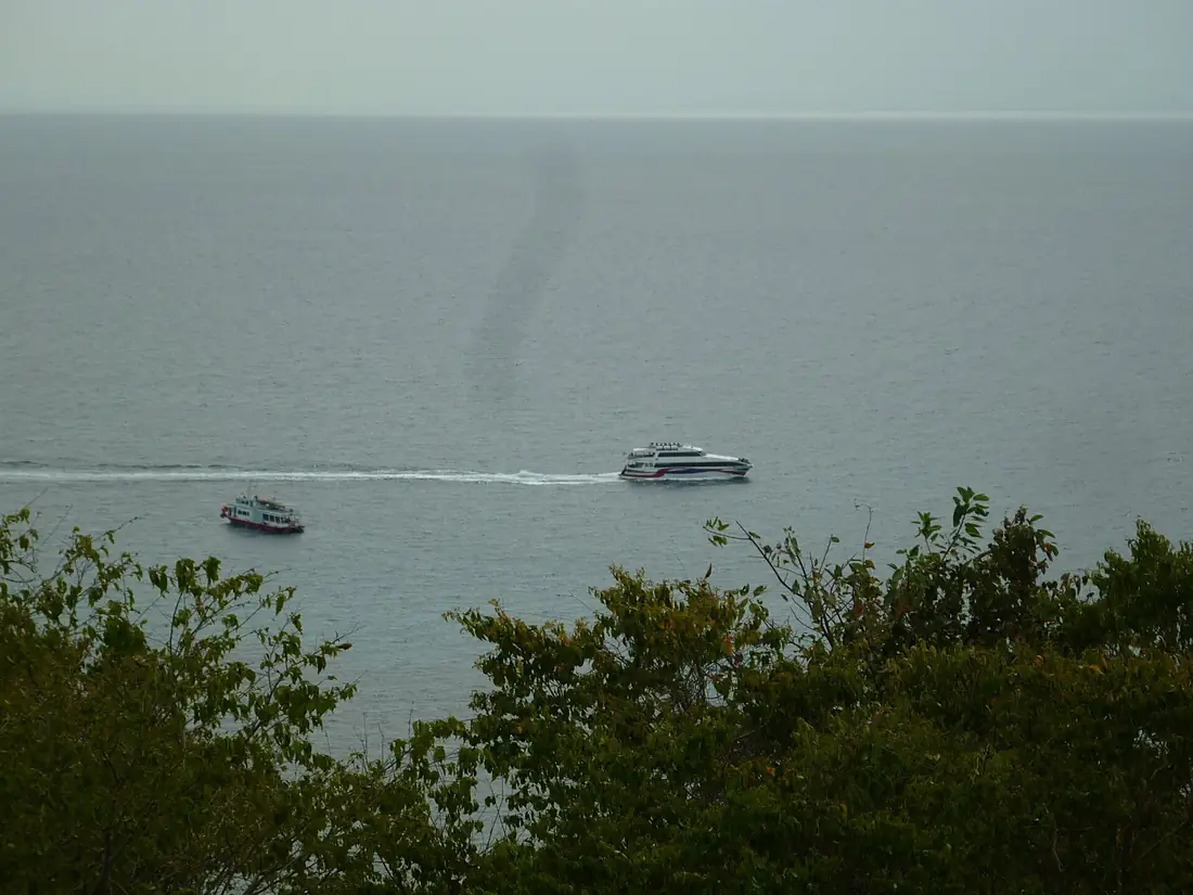 De catamaran - panoramio