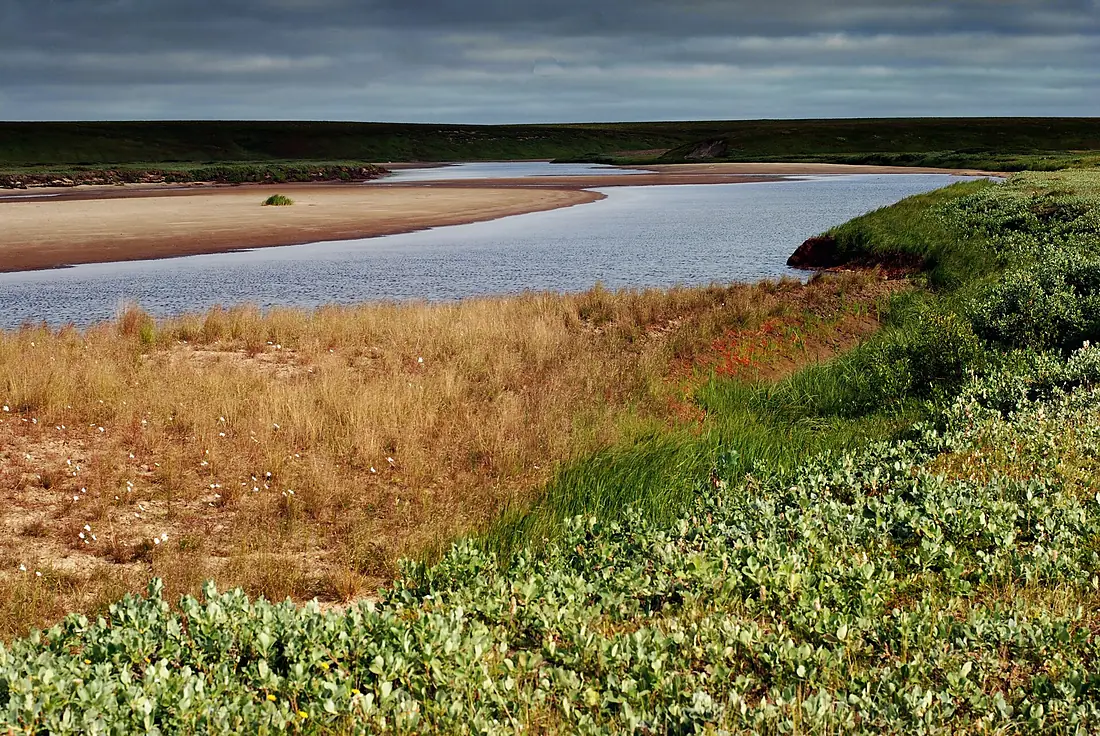Zapolyarny District, Nenets Autonomous Okrug, Russia - panoramio (1)