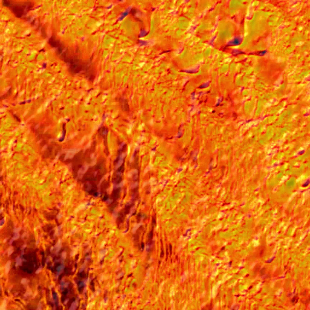 Kumtag Shamo visto desde arriba (Sentinel-2)