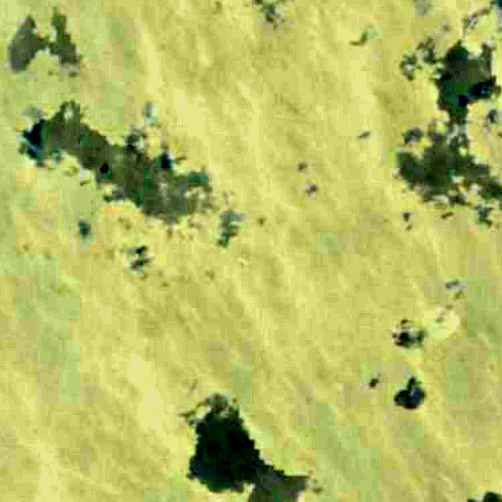 Lagoa Mirim vu d'en haut (Sentinel-2)