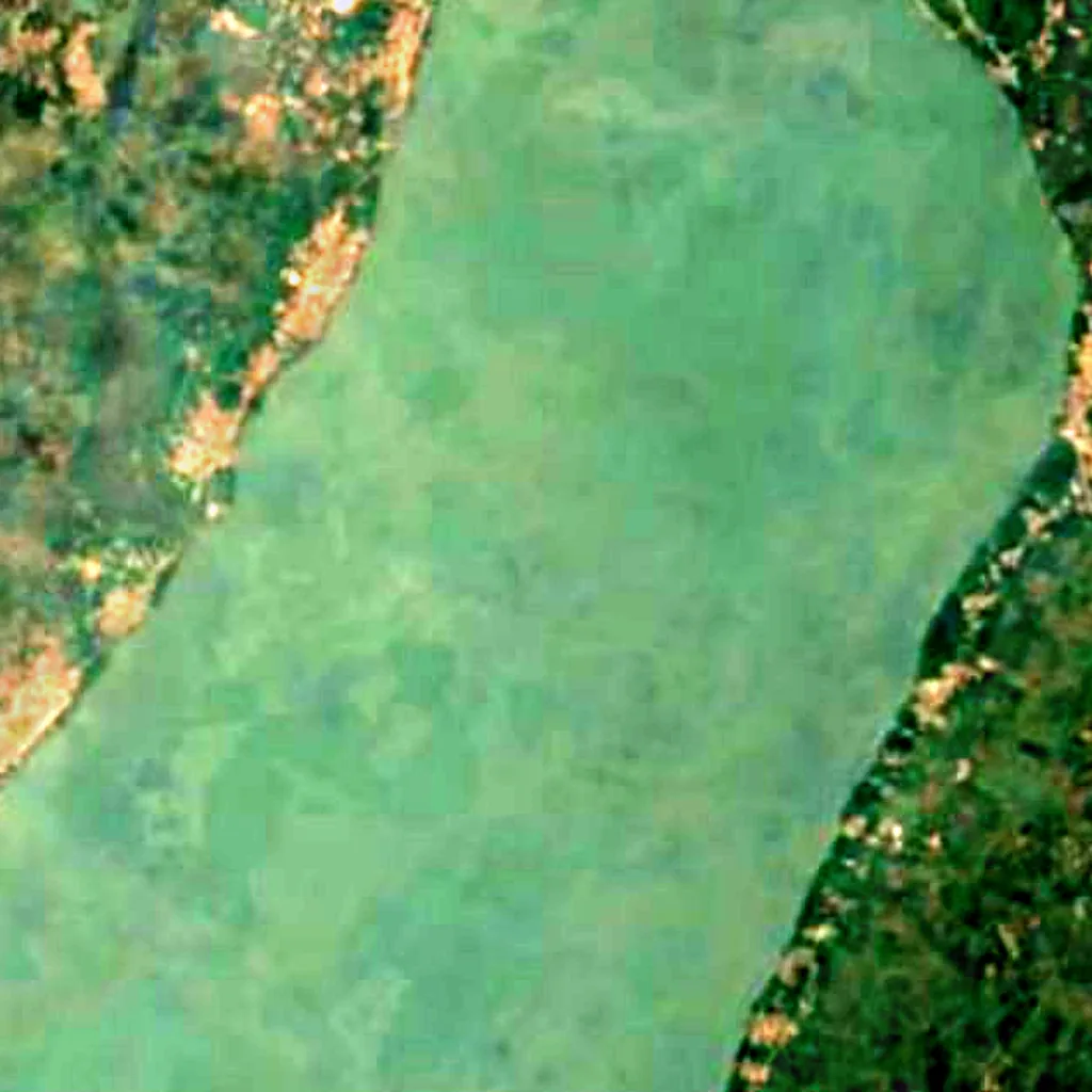 Ahémémeer van boven gezien (Sentinel-2)