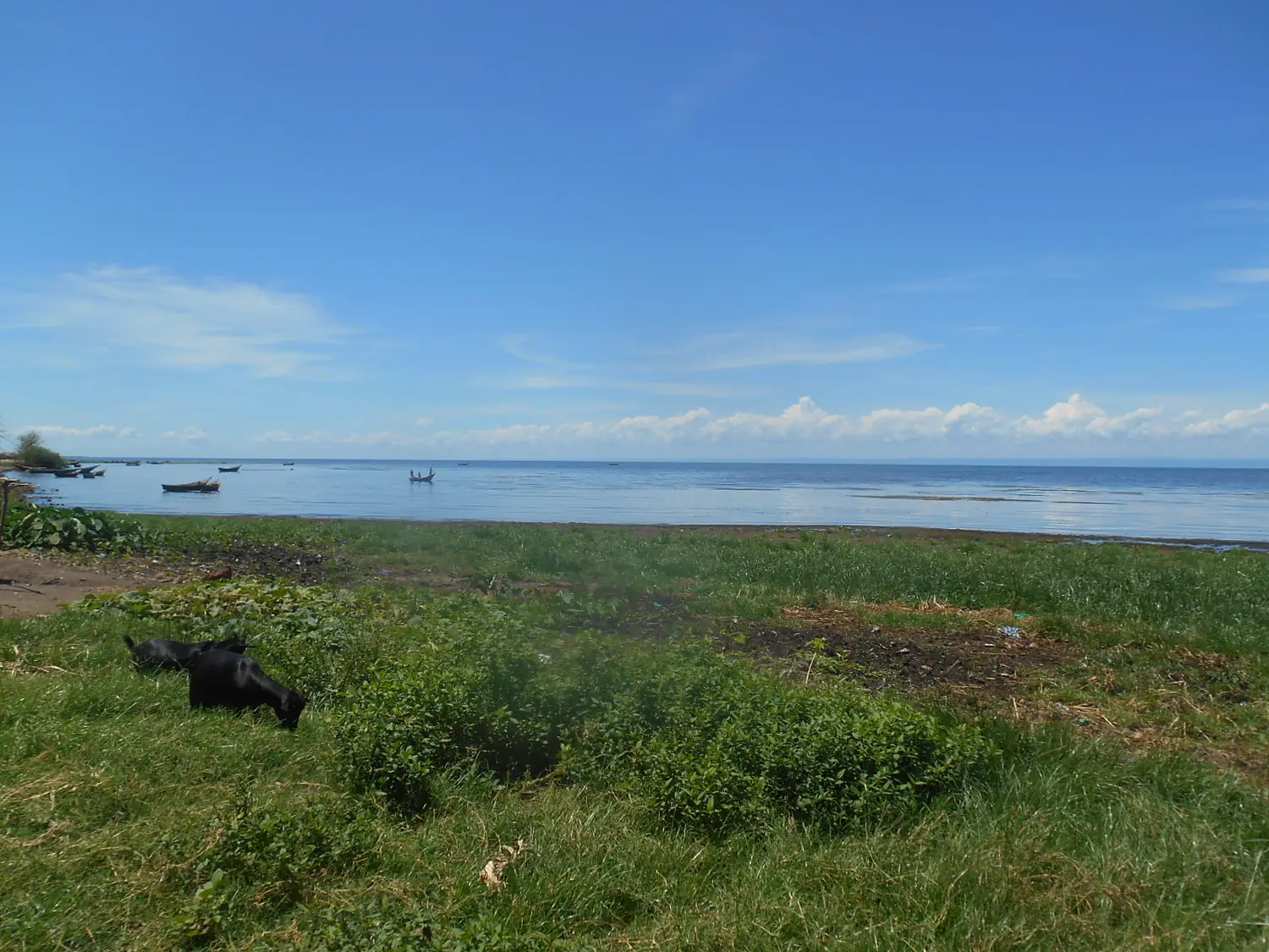 Lac Albert 2