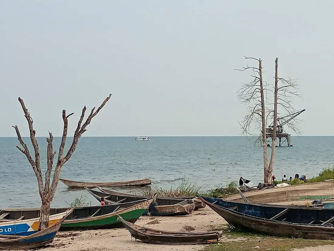 Des pirogues sur la plage du Lac Albert