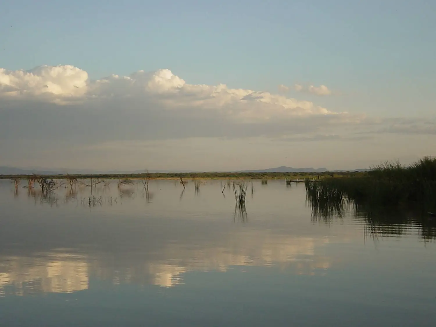 Lake baringo