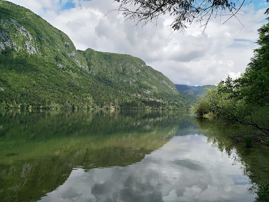 Ausblick Bohinj jezero (27169249907)