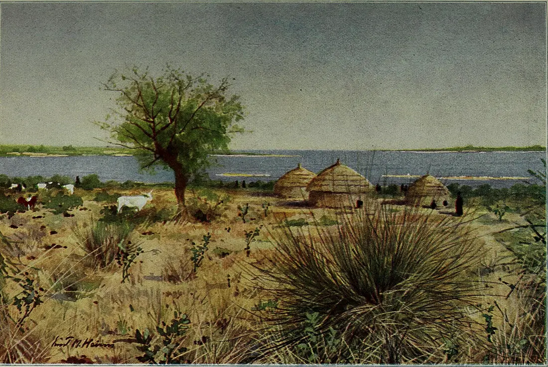 Island in Lake Chad. Water-colour by E. M. Heims