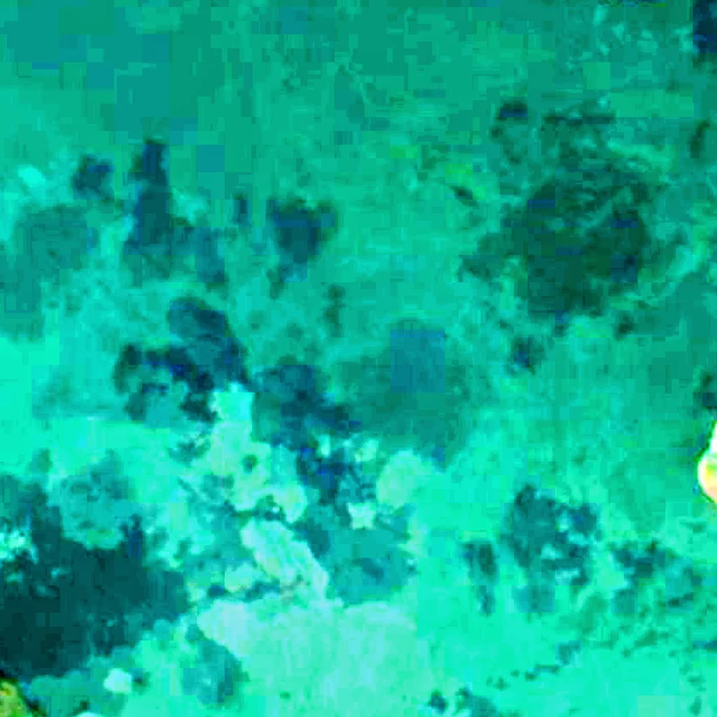 Lago di Çıldır visto dall'alto (Sentinel-2)