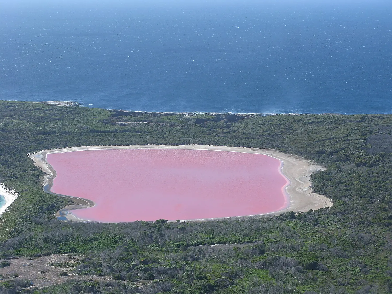 Lake Hillier 2 Middle Island Recherche Archipelago NR IV-2011