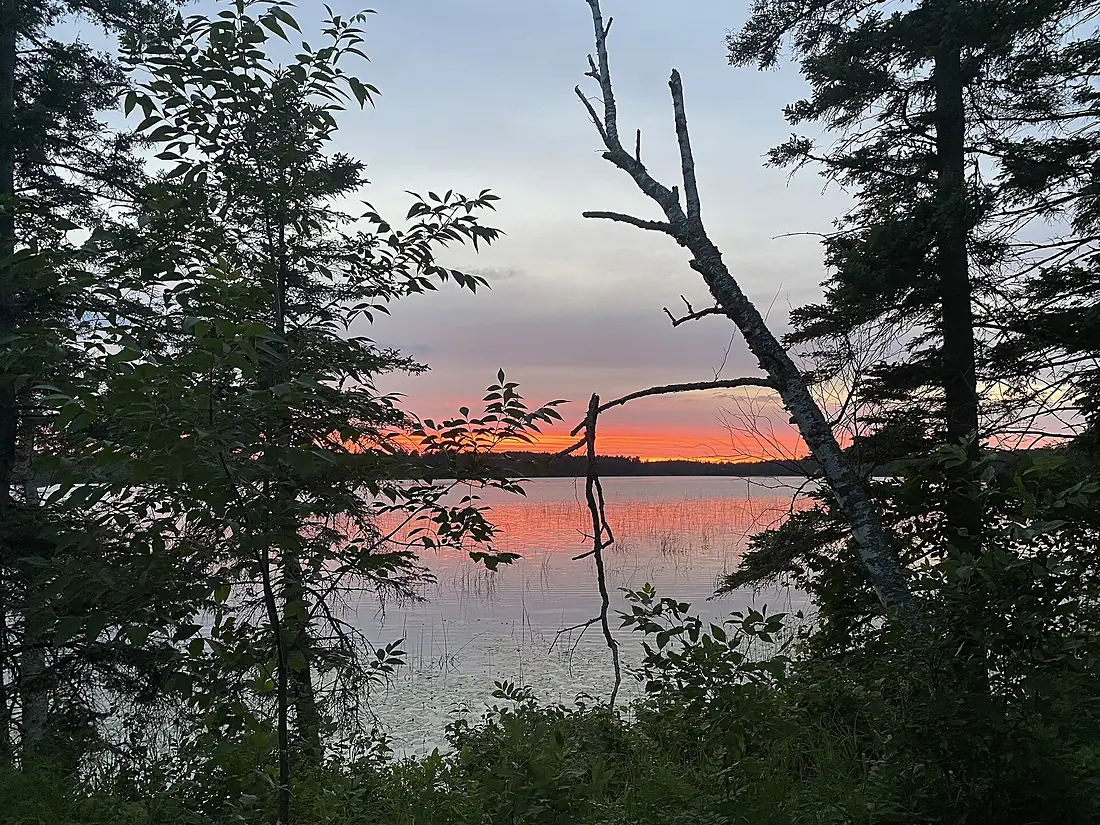 Itasca Biological Station and Laboratories Picture 1
