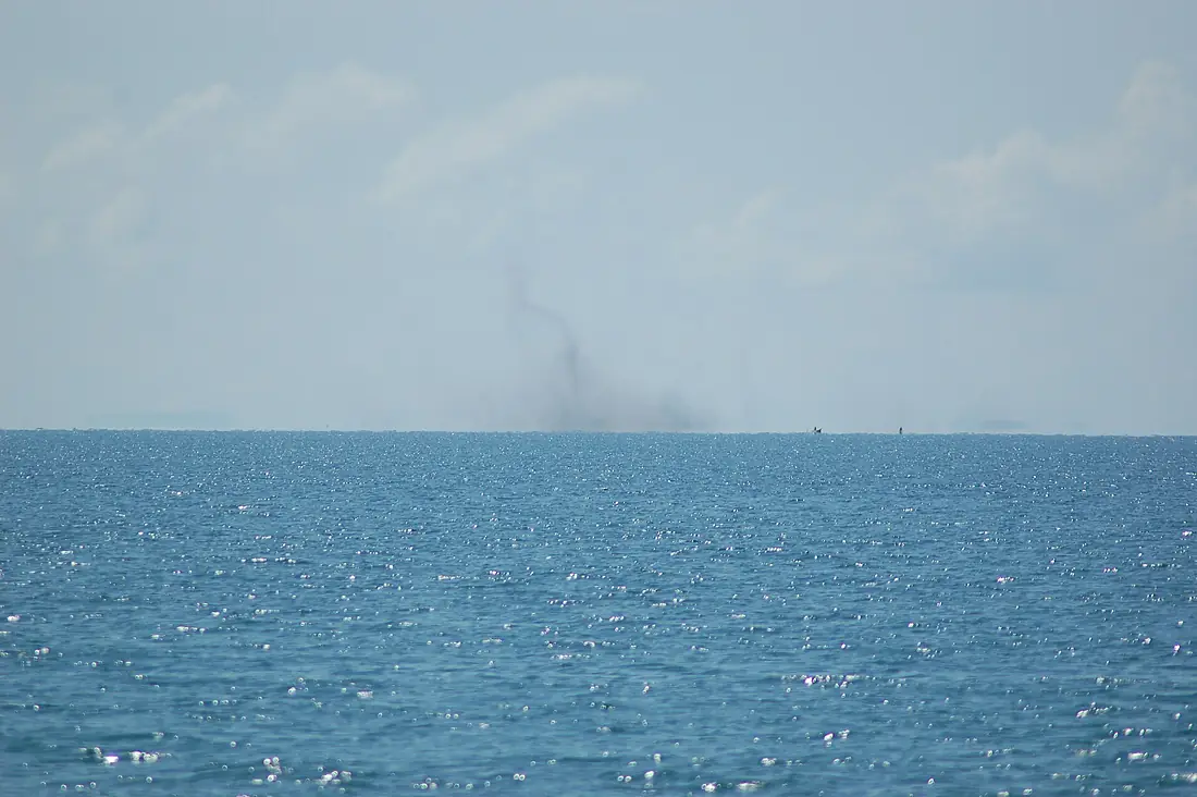 Lake flies, Lake Malawi (2499202894)