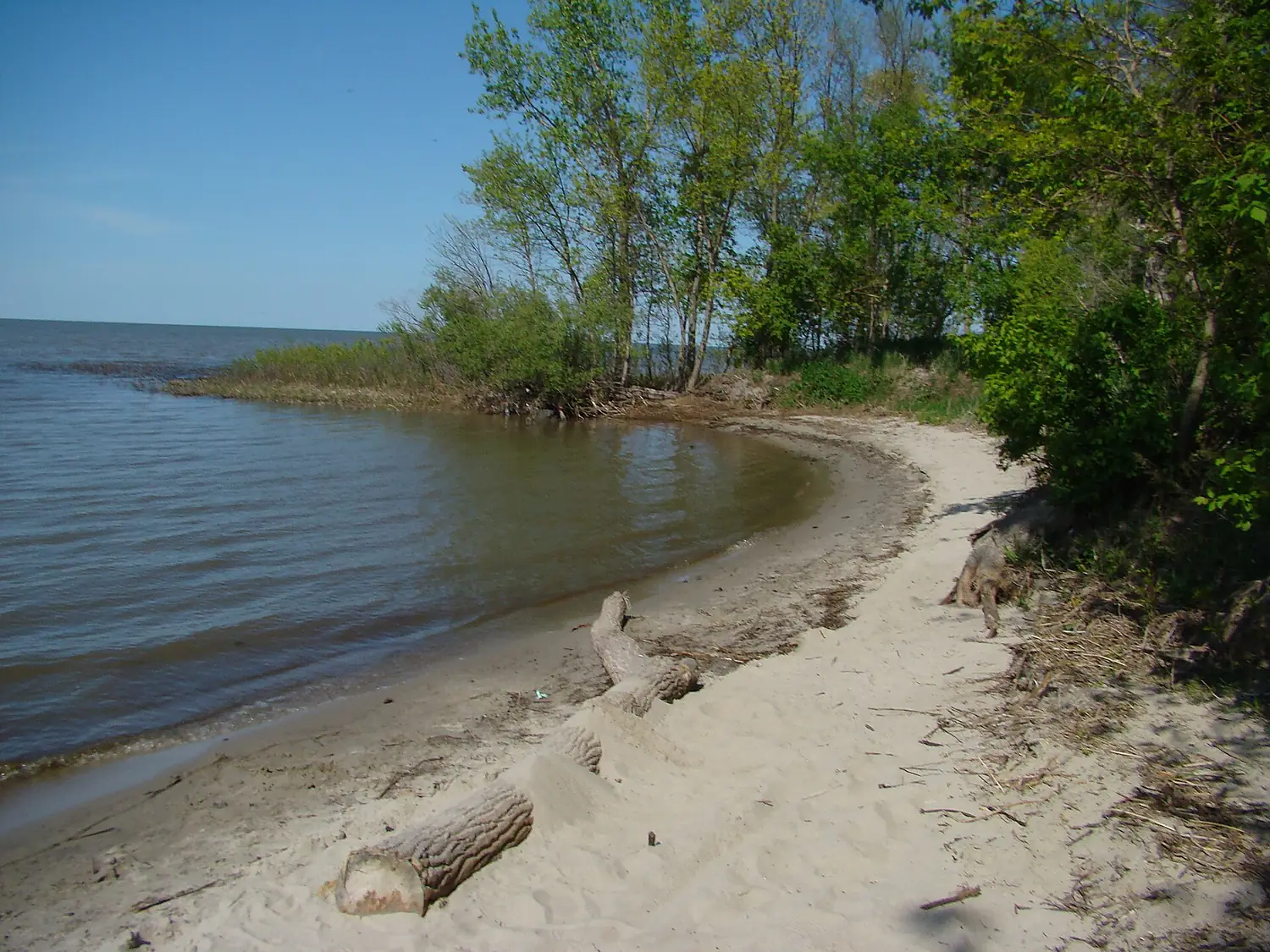 Delta Beach Manitoba Canada (5)