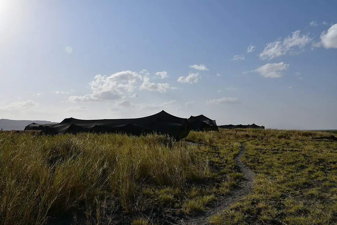 Around Lake Natron Camp (1) (28588319845)