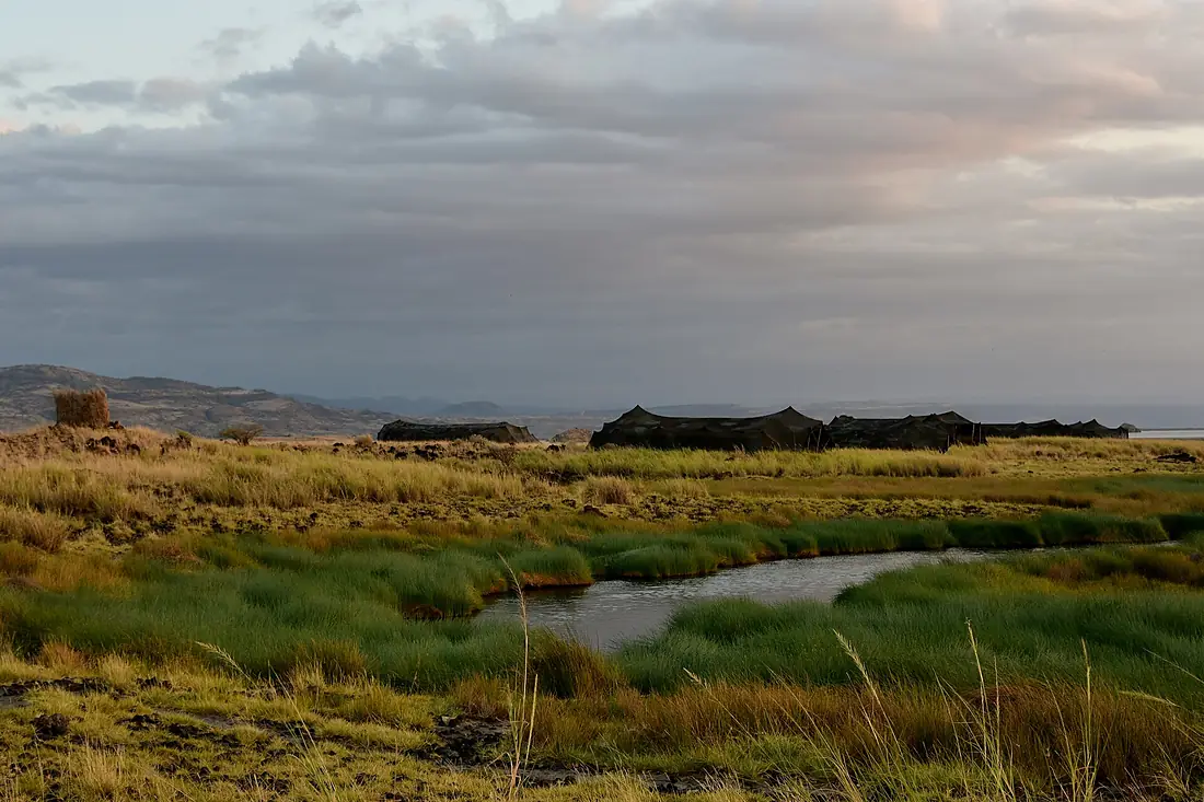 Around Lake Natron Camp (10) (28587357635)