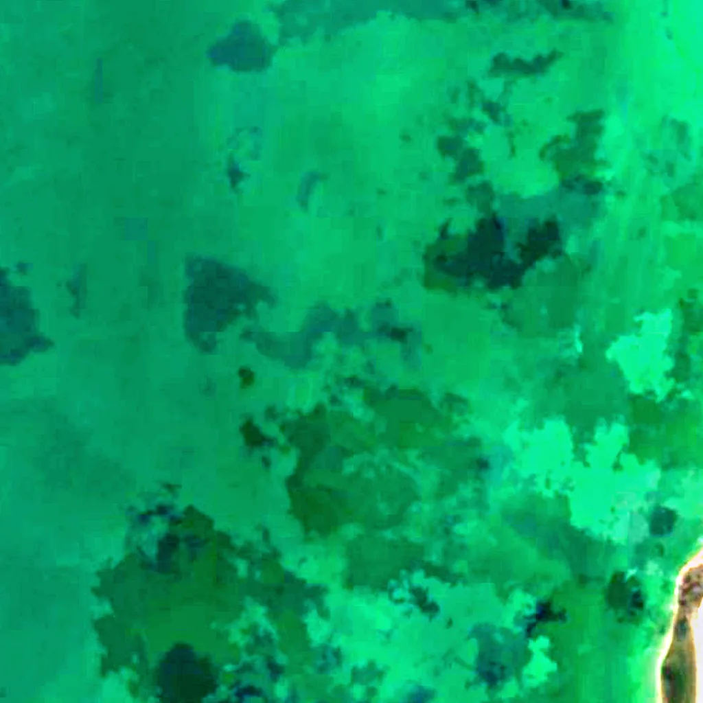 Lake Tengiz seen from above (Sentinel-2)