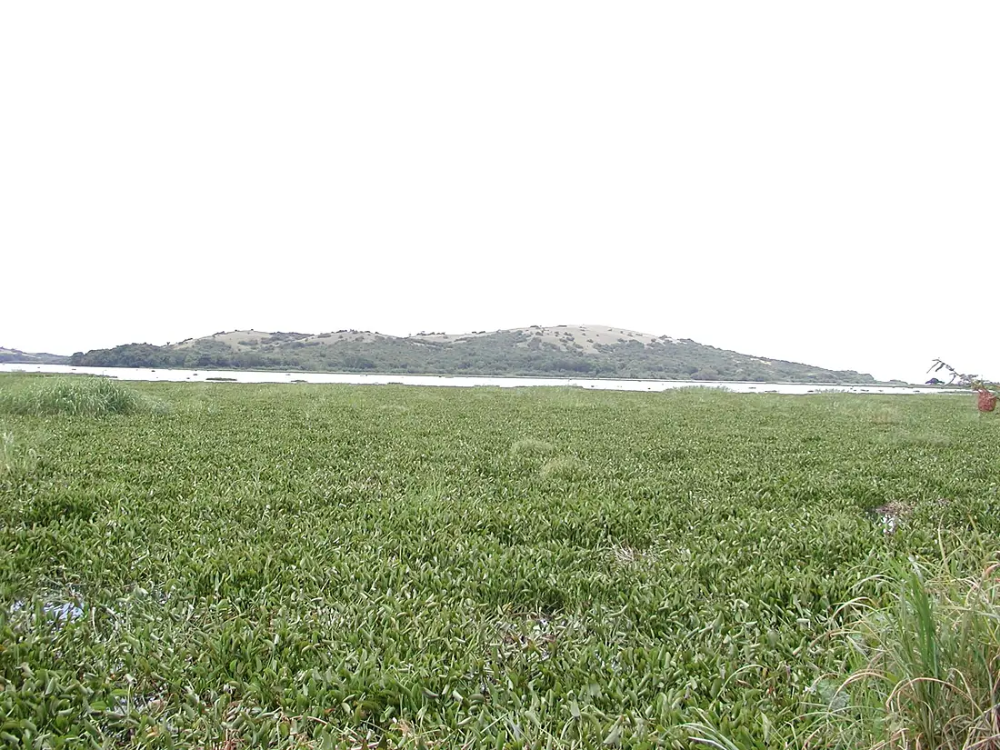 NdereIsland3