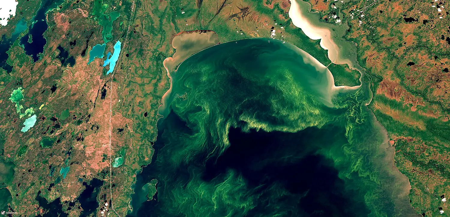 Lake Winnipeg Algae Crisis (46200453694)