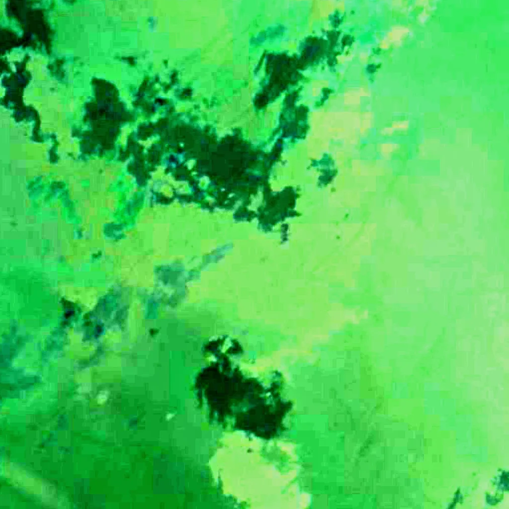 Lac Winnipeg vu d'en haut (Sentinel-2)