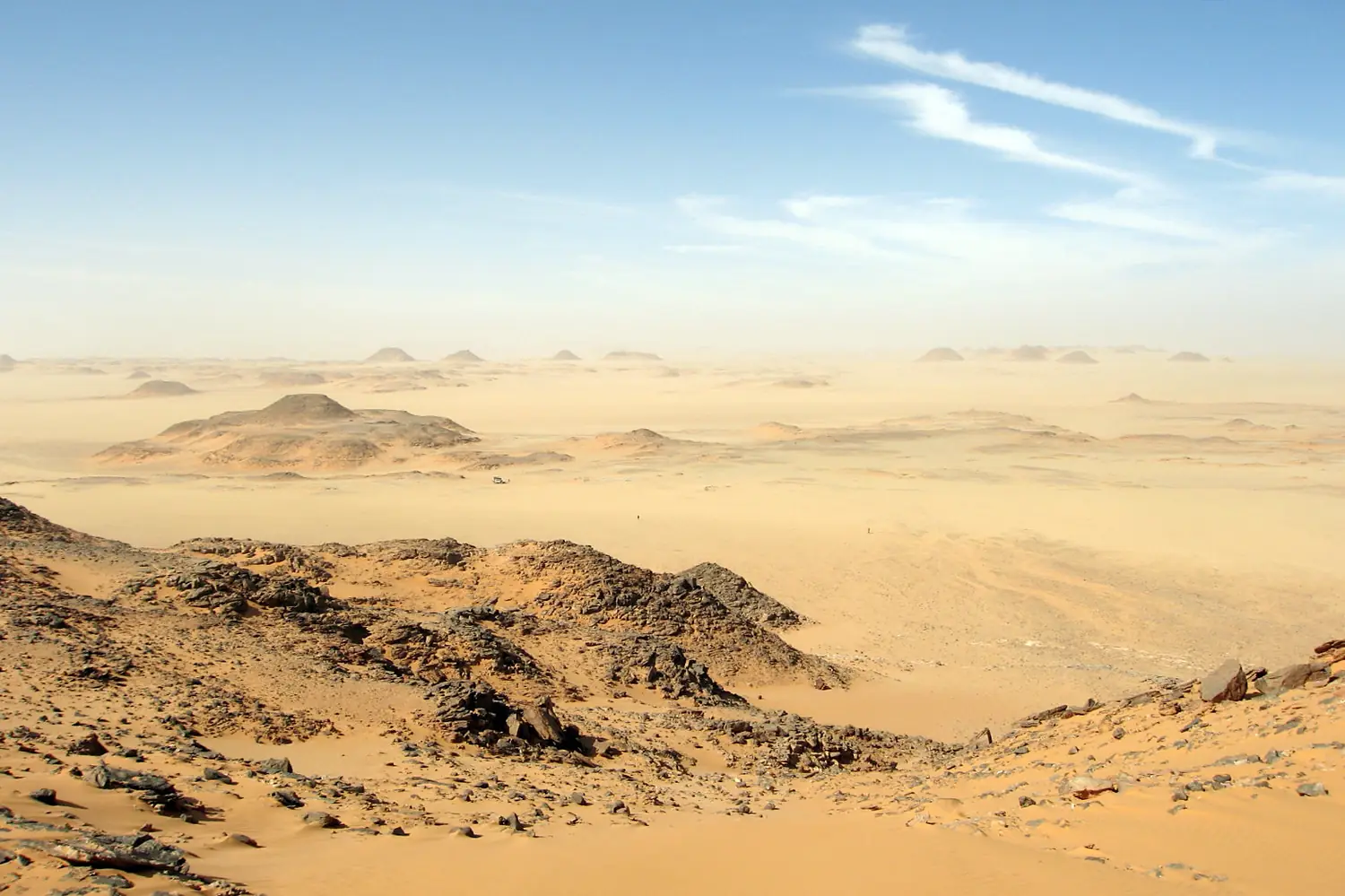 Libyandesertcscott
