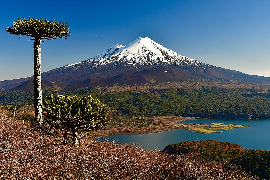 Volcán Llaima y Laguna Conguillío, desde Sierra Nevada