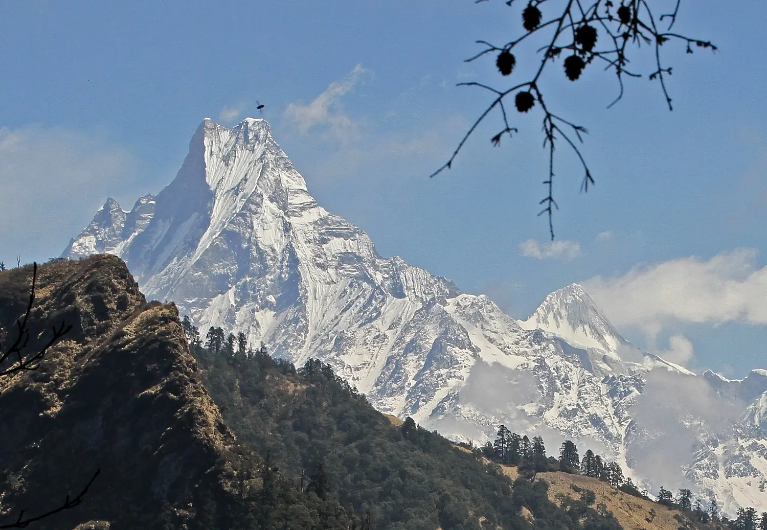 Ghorepani-Tadapani-34-Machhapuchhre-2013-gje