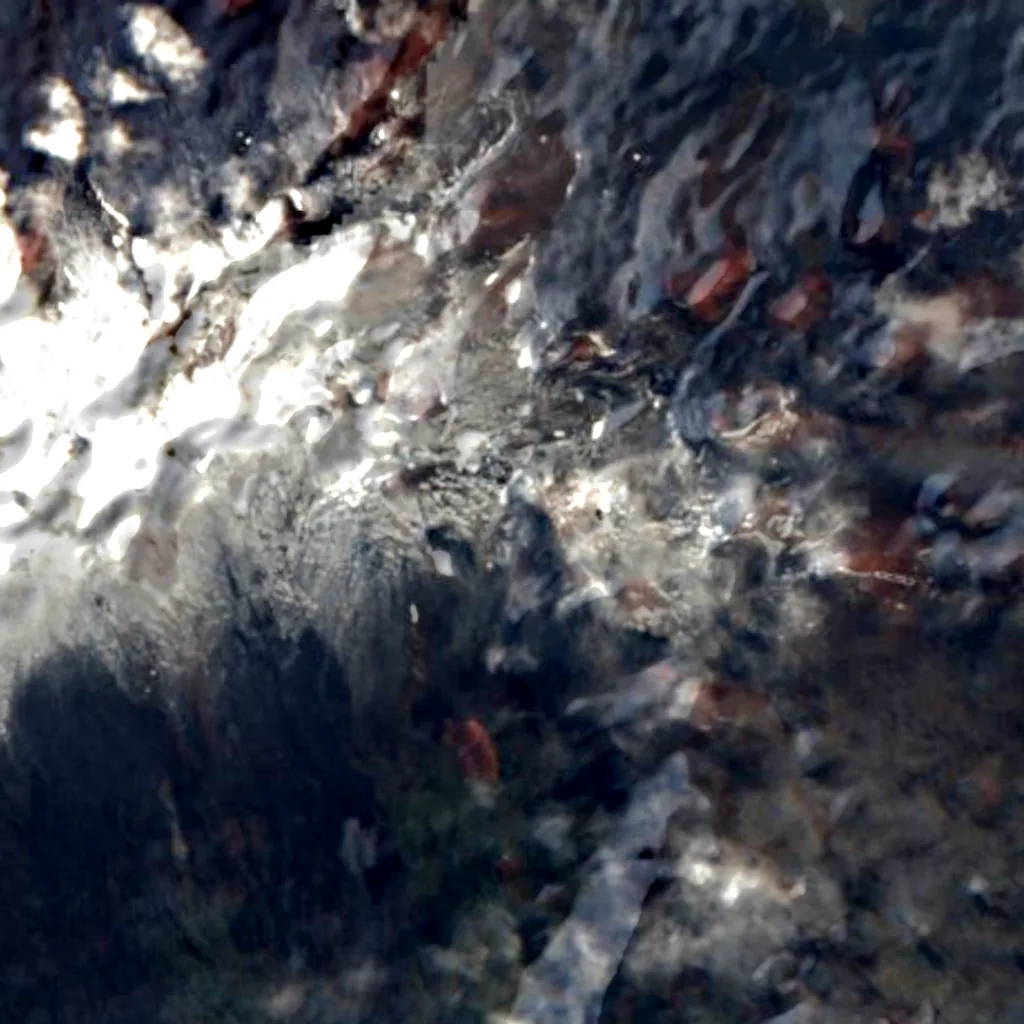 Isla Marión visto desde arriba (Sentinel-2)