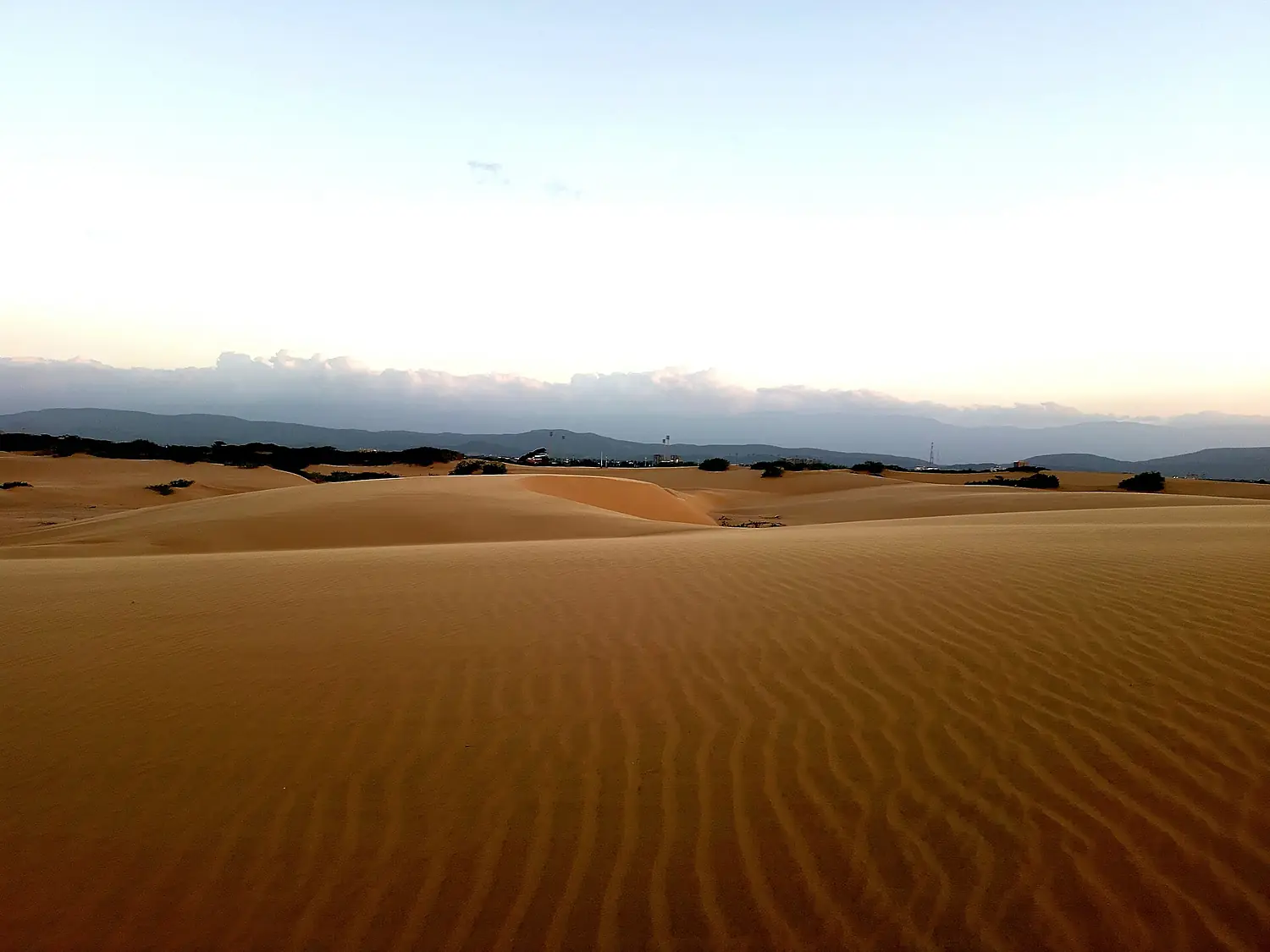 Los medanos de coro PN