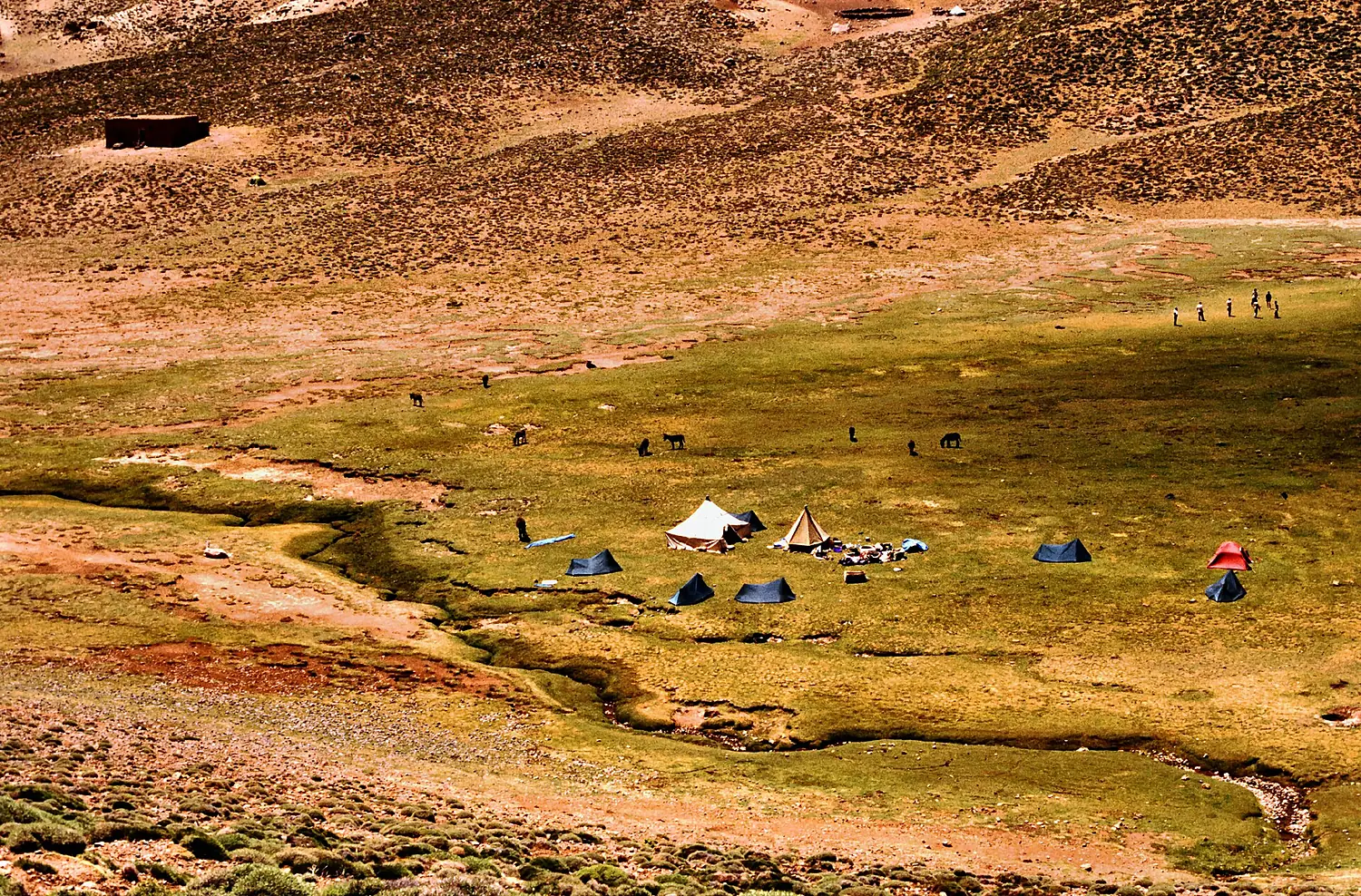 Mgoun, base camp in the valley