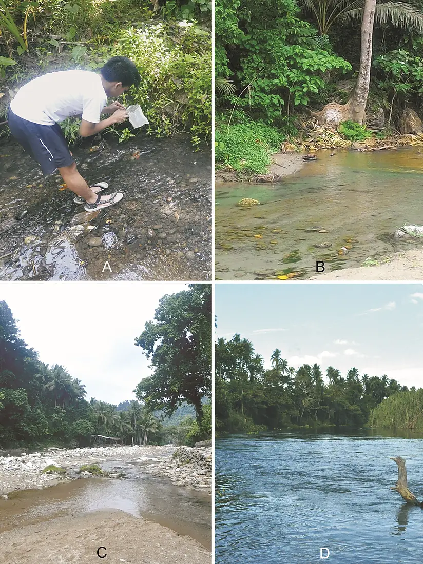 Mindoro Island (10.3897-BDJ.8.e56883) Figure 1