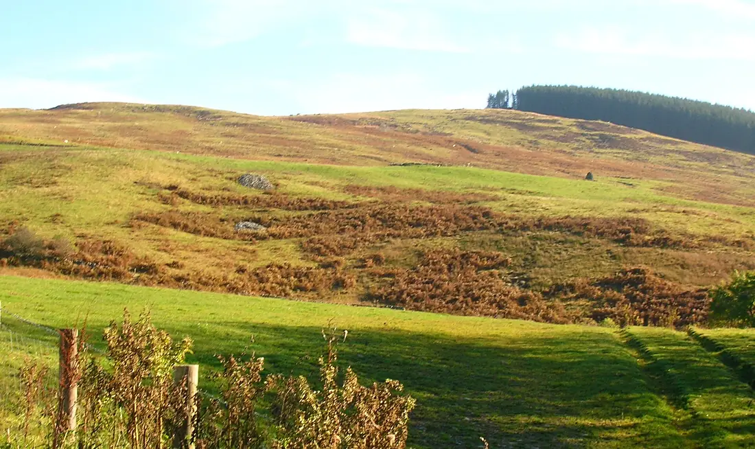 Auldton Hill from Archbank Bridge in Moffat