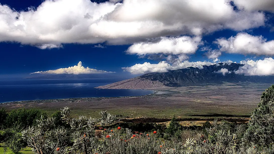 Maui, Molokai, and the South Pacific (49778157553)