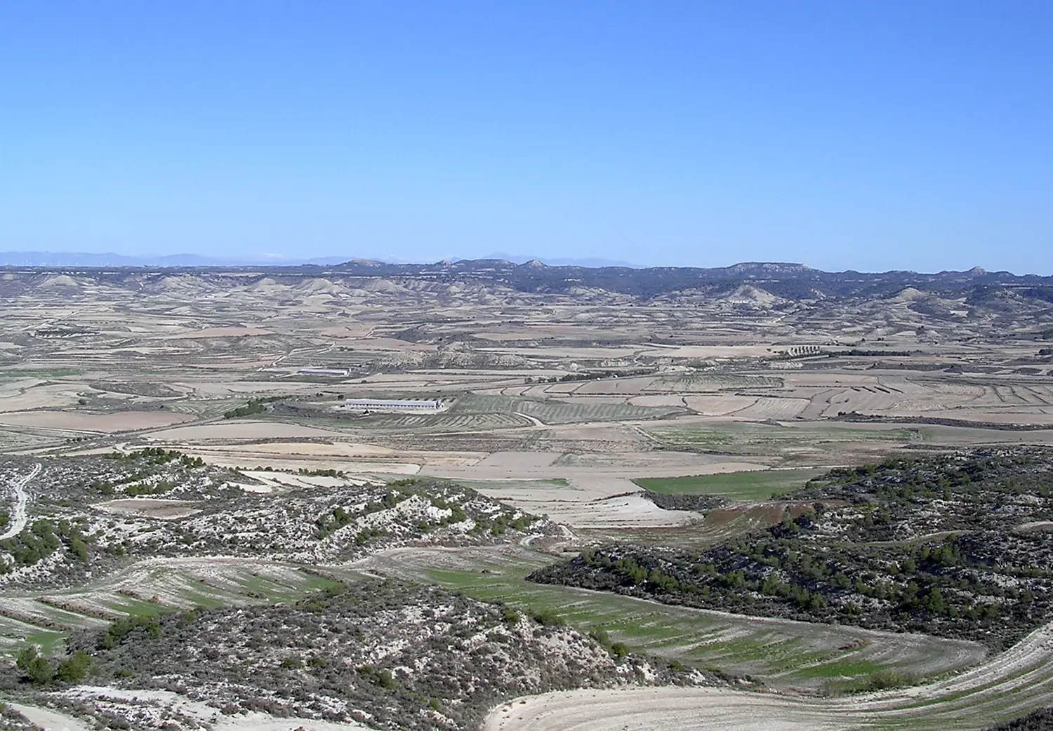 Vista de los Monegros (Leciñena)
