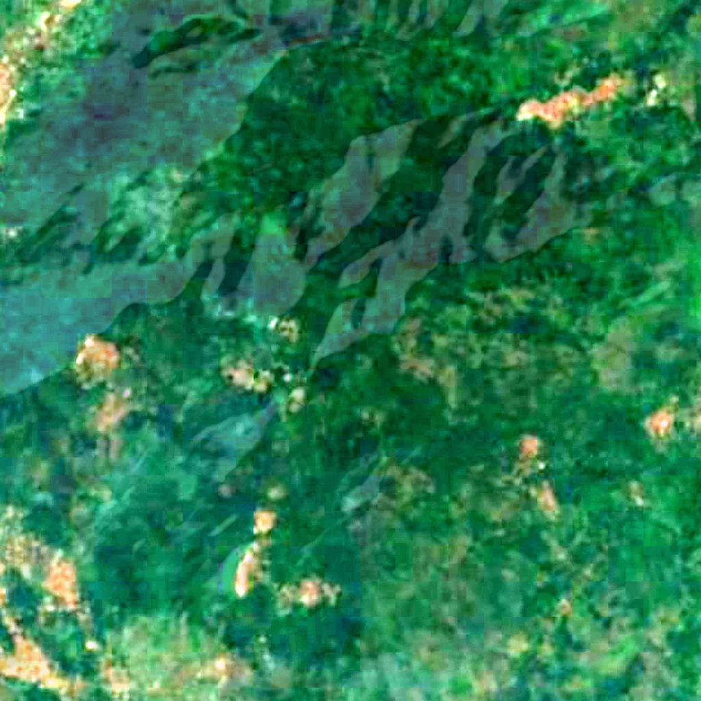 Mont Agou vu d'en haut (Sentinel-2)