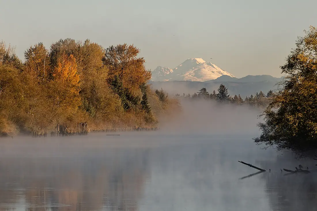 Misty Fall Morning on the Snohomish River (53380466609)