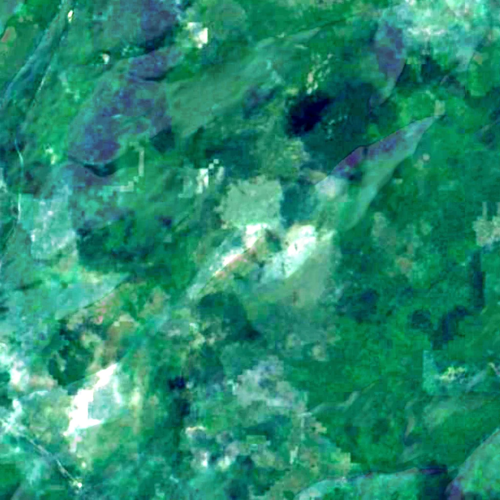 Mount Carleton Provincial Park visto dall'alto (Sentinel-2)
