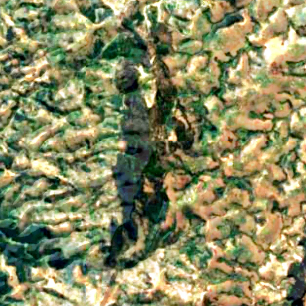 Mont Heha vu d'en haut (Sentinel-2)