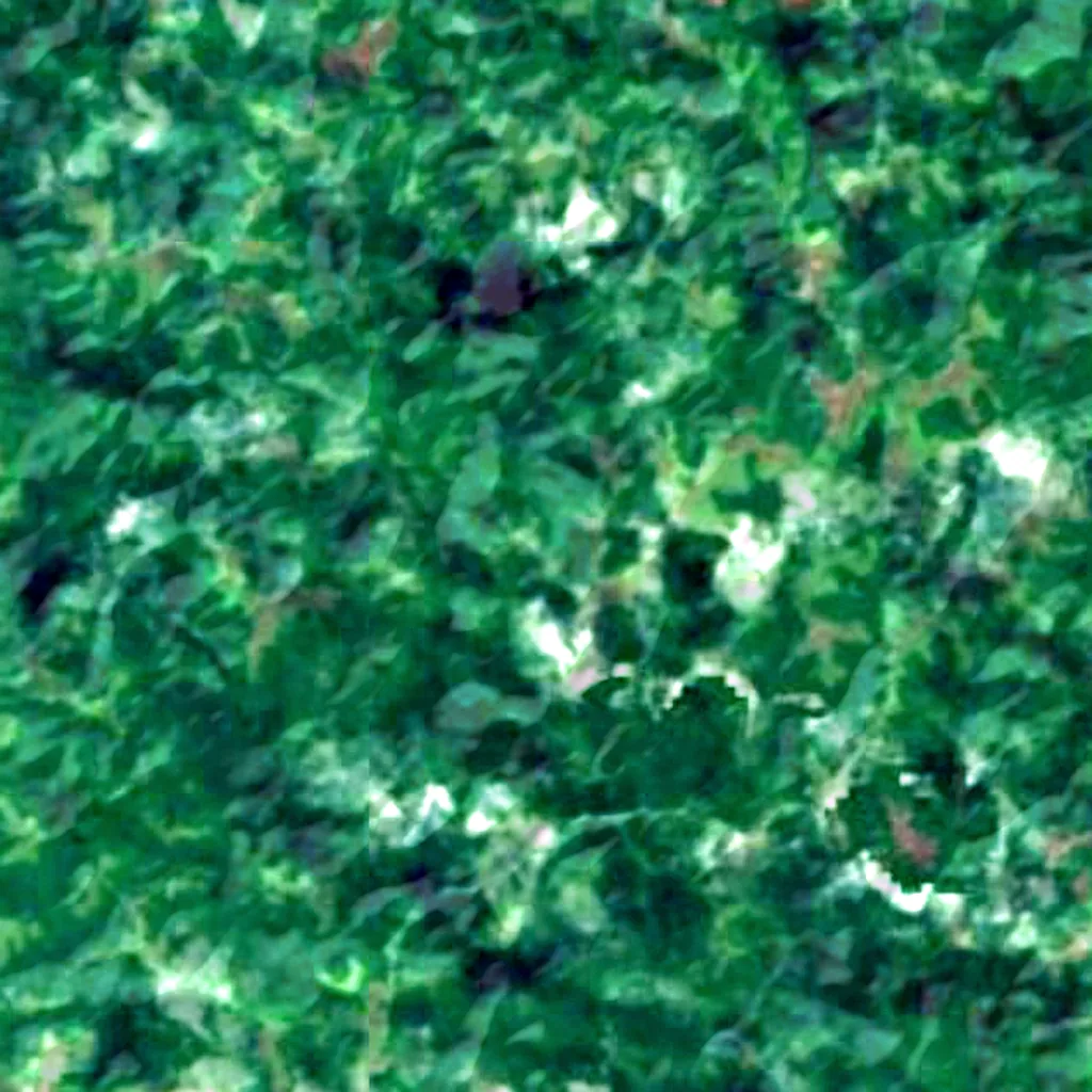 Mount Ngerchelchuus van boven gezien (Sentinel-2)