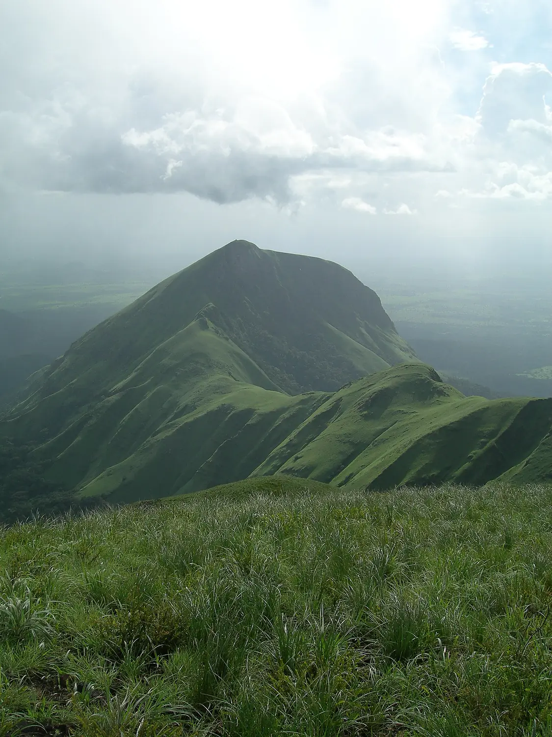 Mount Nimba Strict Nature Reserve-108445