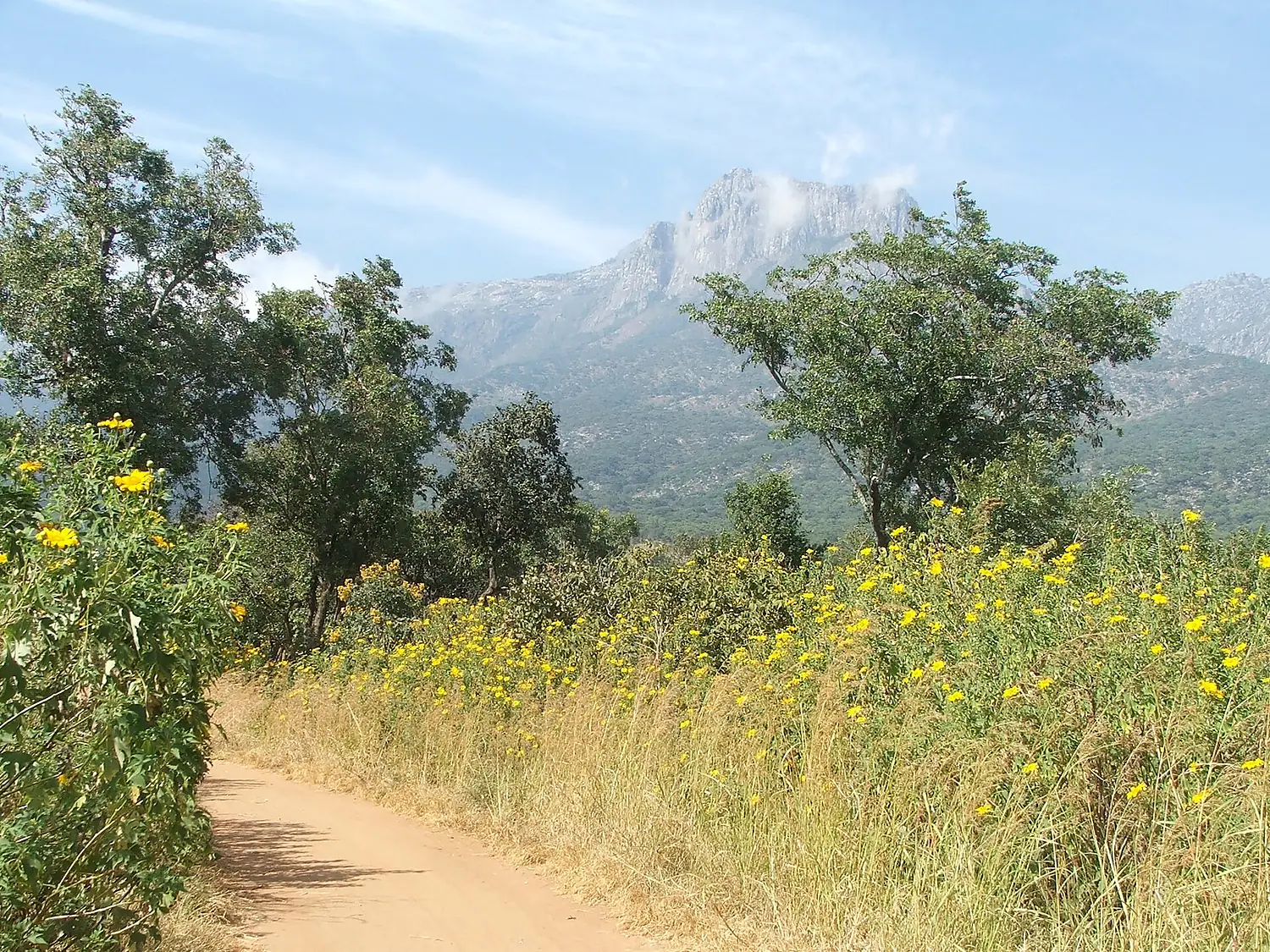 Mount Mulanje Mozambique