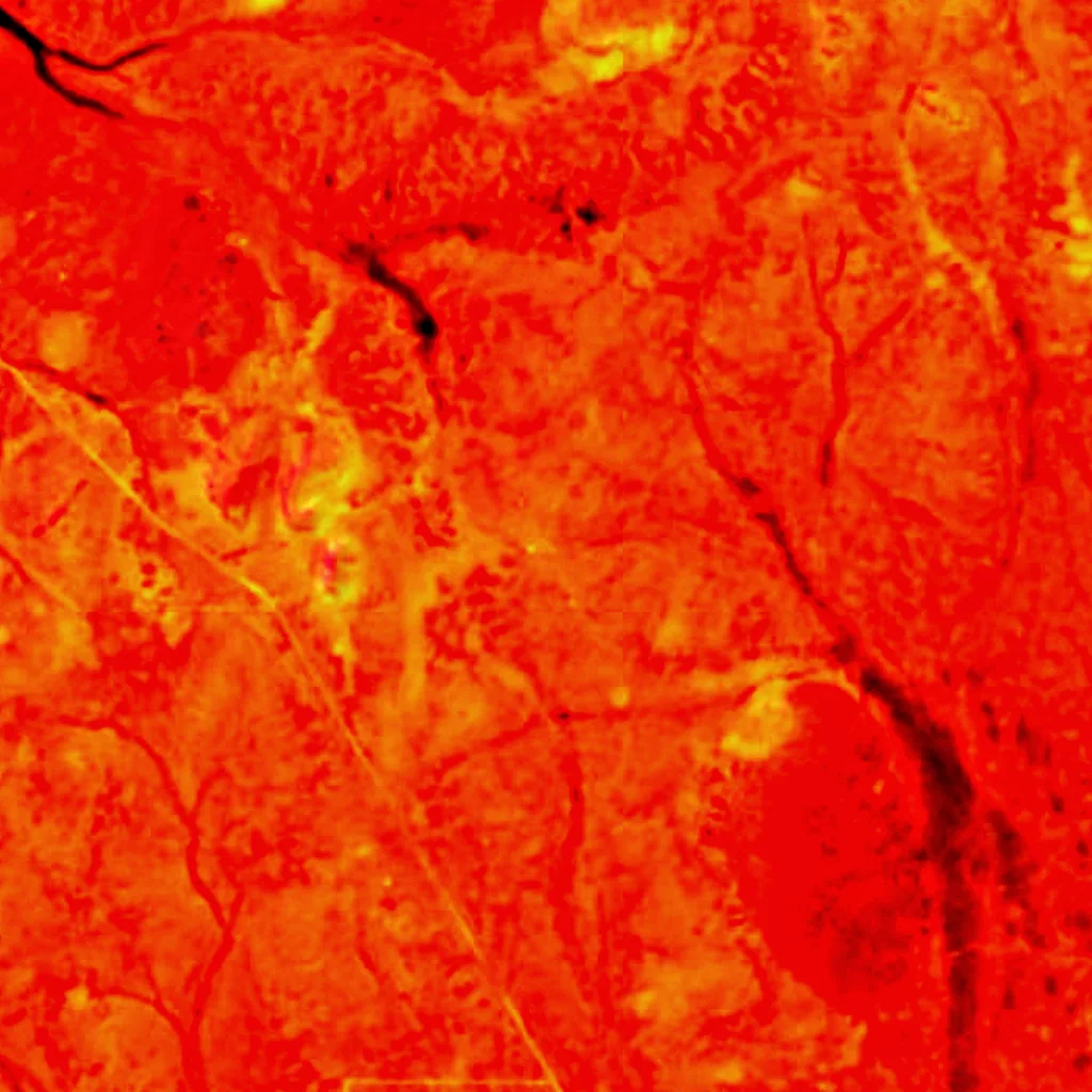 Mid-West Radio Quiet Zone von oben gesehen (Sentinel-2)