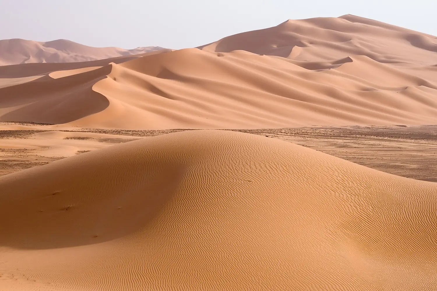Libya 5230 Wan Caza Dunes Luca Galuzzi 2007