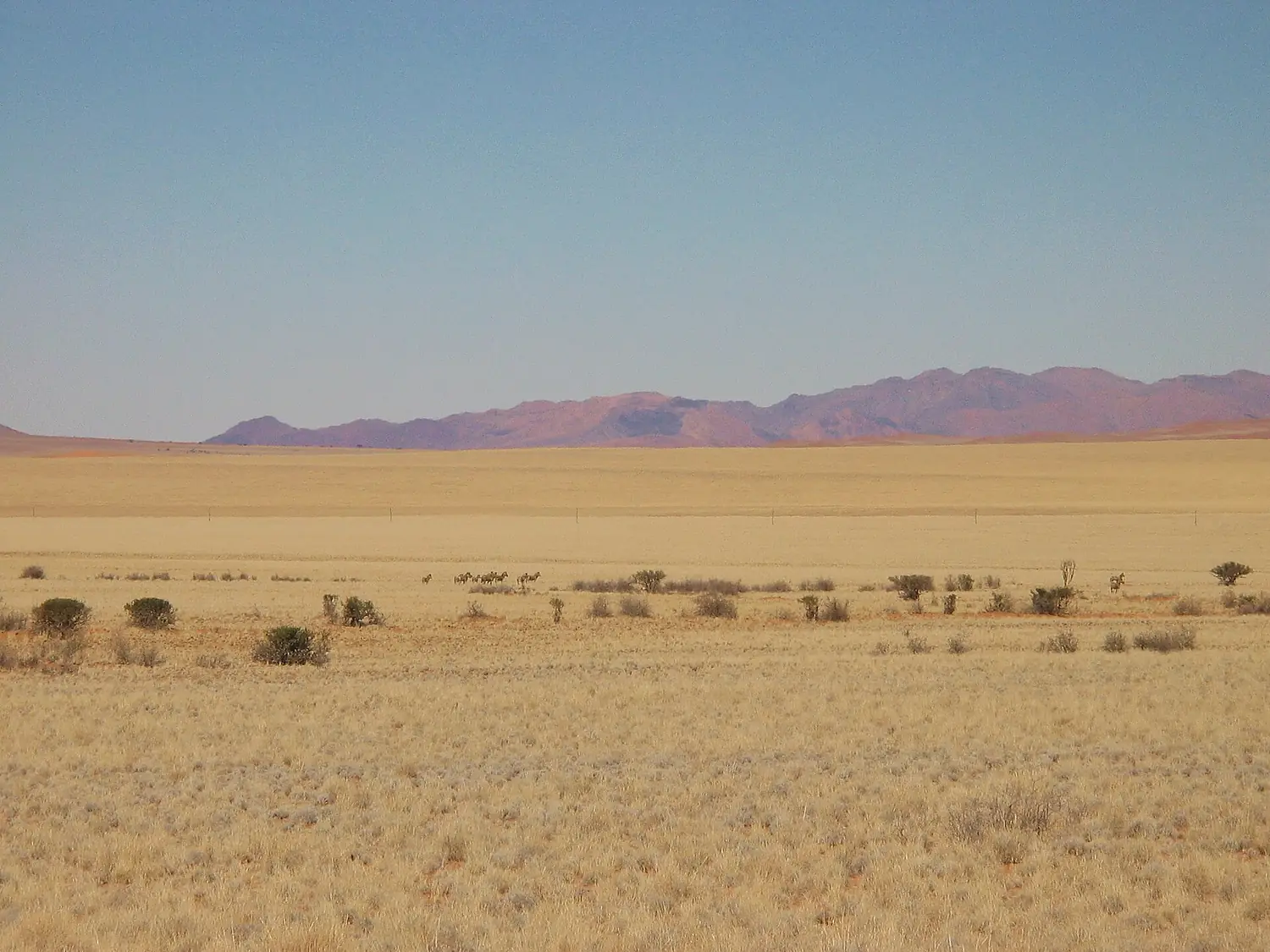 Namib-Rand-Park-01