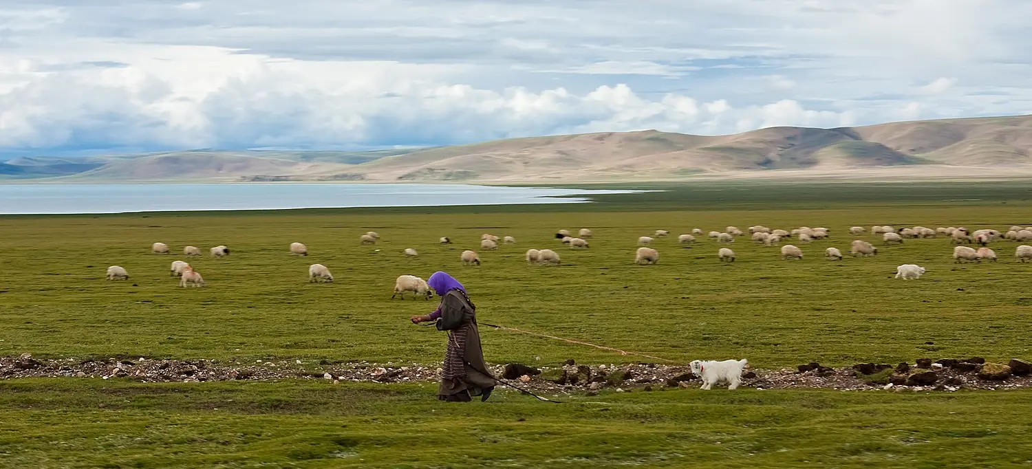 Farmer namtso
