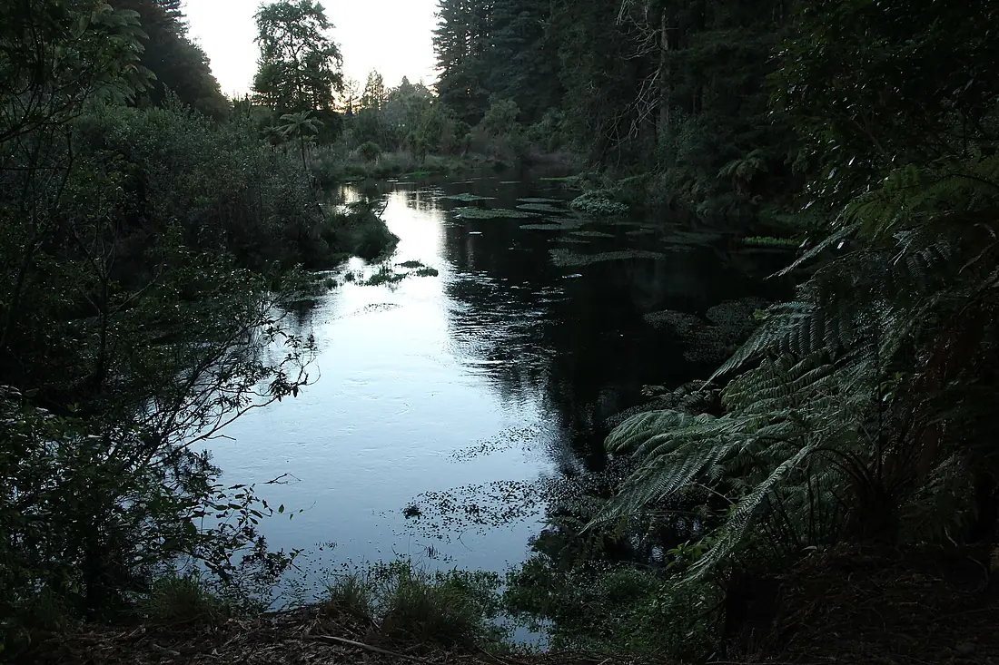 River from Hamurana Springs (6941583020)