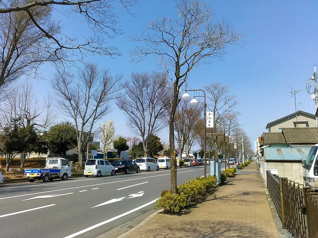 Oizumi-Hanamizuki-Dori-Street-2018032501