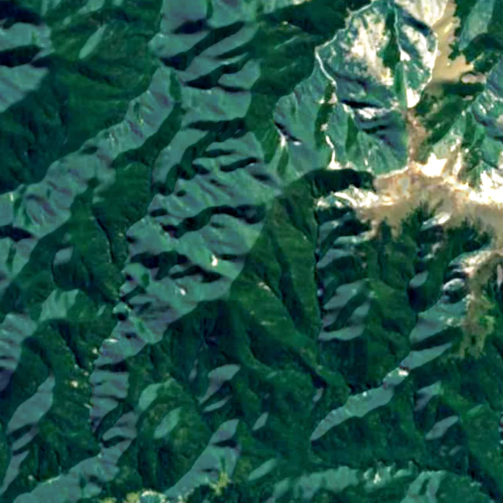 Oxford Forest Conservation Area Dark Sky Park visto dall'alto (Sentinel-2)