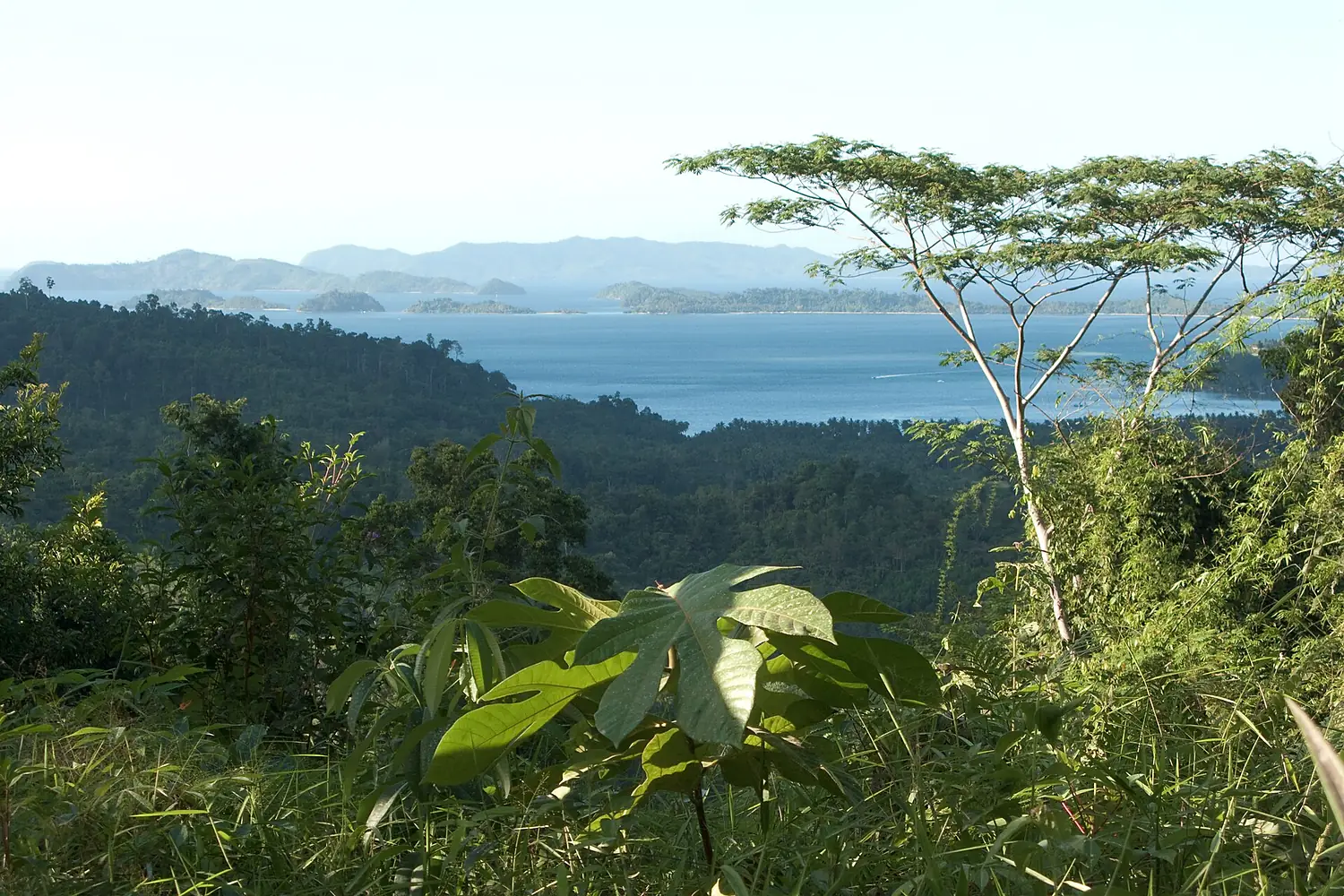 Palawan, Philippines, View over northwest coast of Palawan and South China Sea