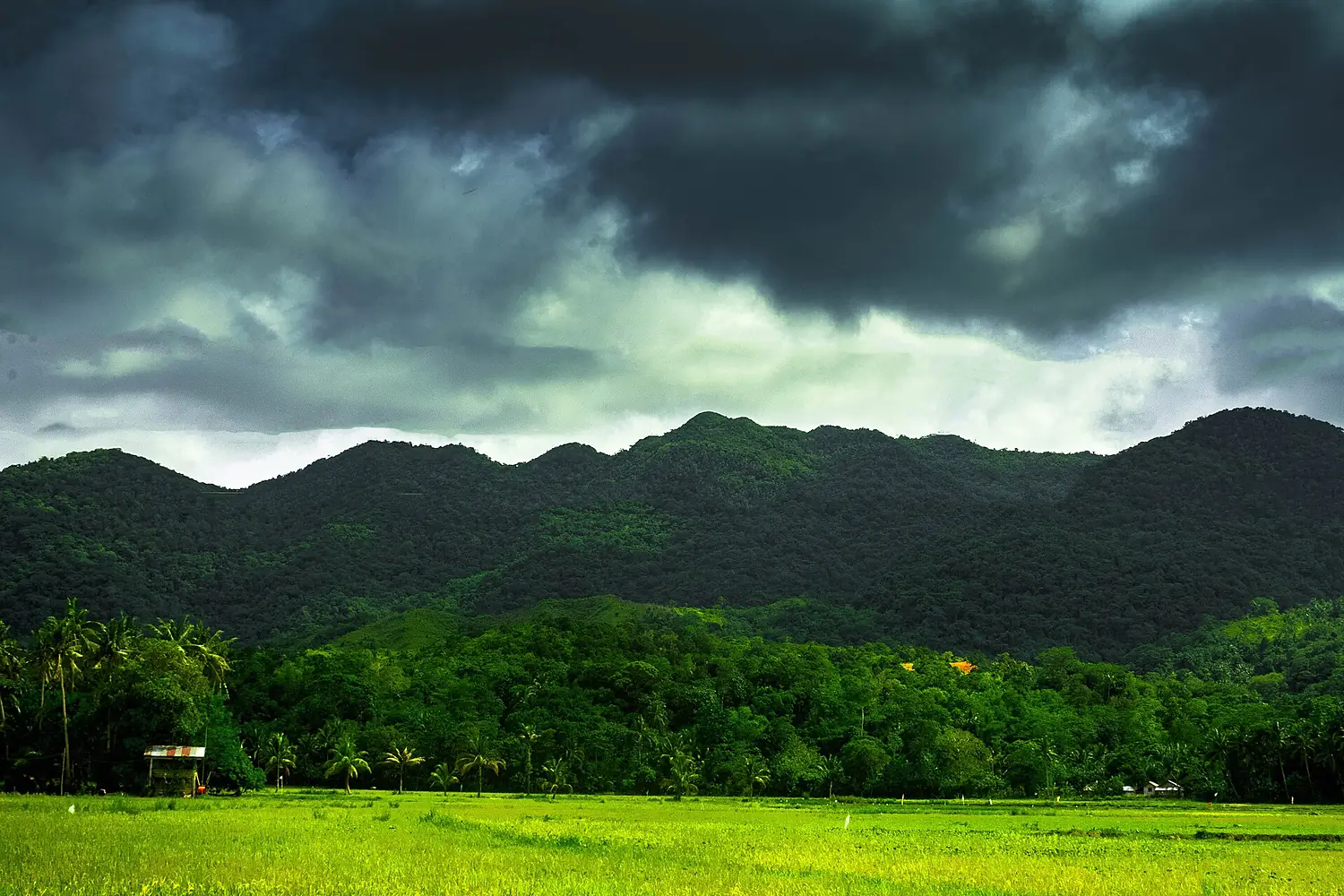 Northwest Panay Peninsula 3