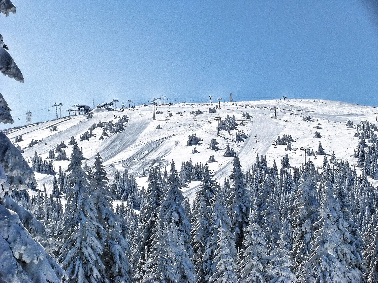 Pančićev vrh during winter
